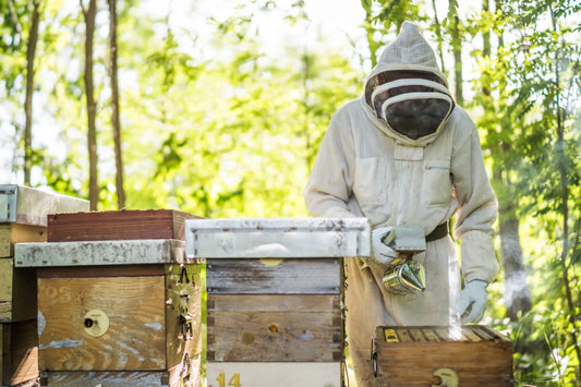 beekeeper-in-protective-suit-tending-to-beehives-in-sunny-forest-setting