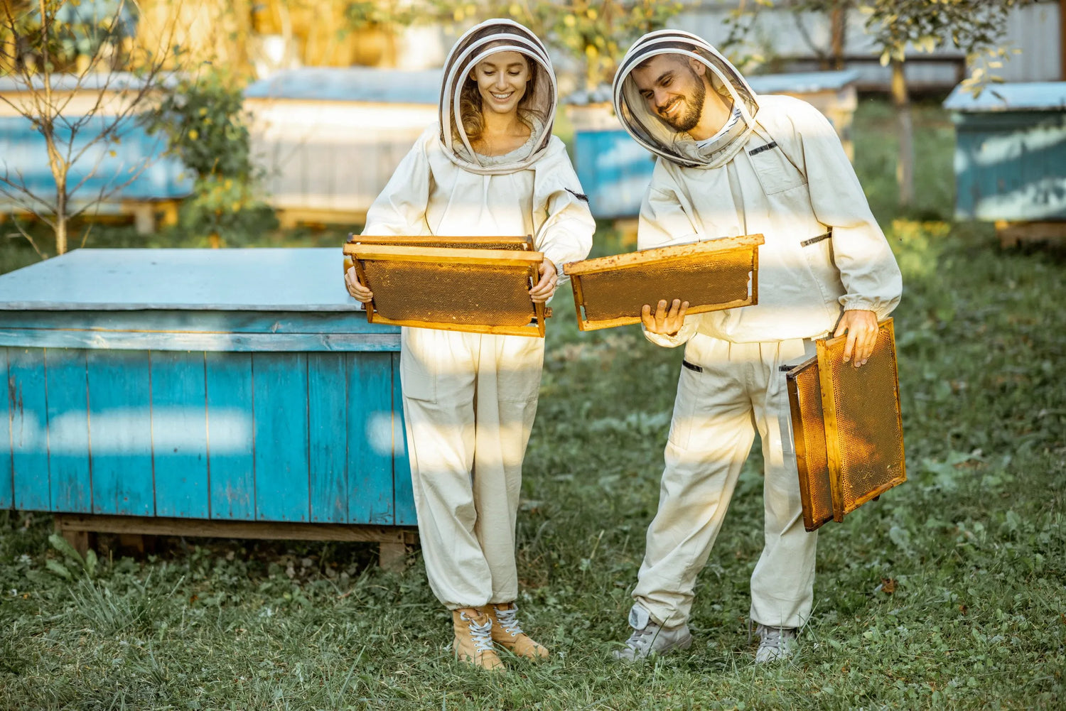 two-beekeepers-in-protective-suits-carrying-honeycomb-frames-near-beehives